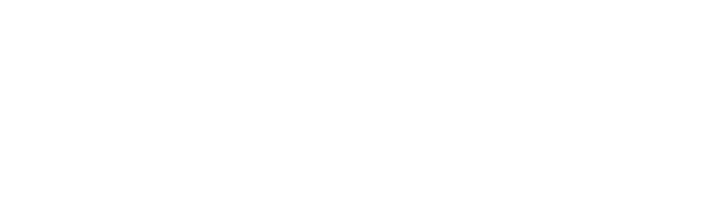 flush factor plus logo